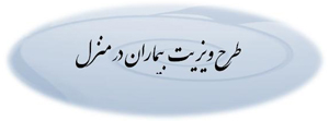 ويزيت در منزل